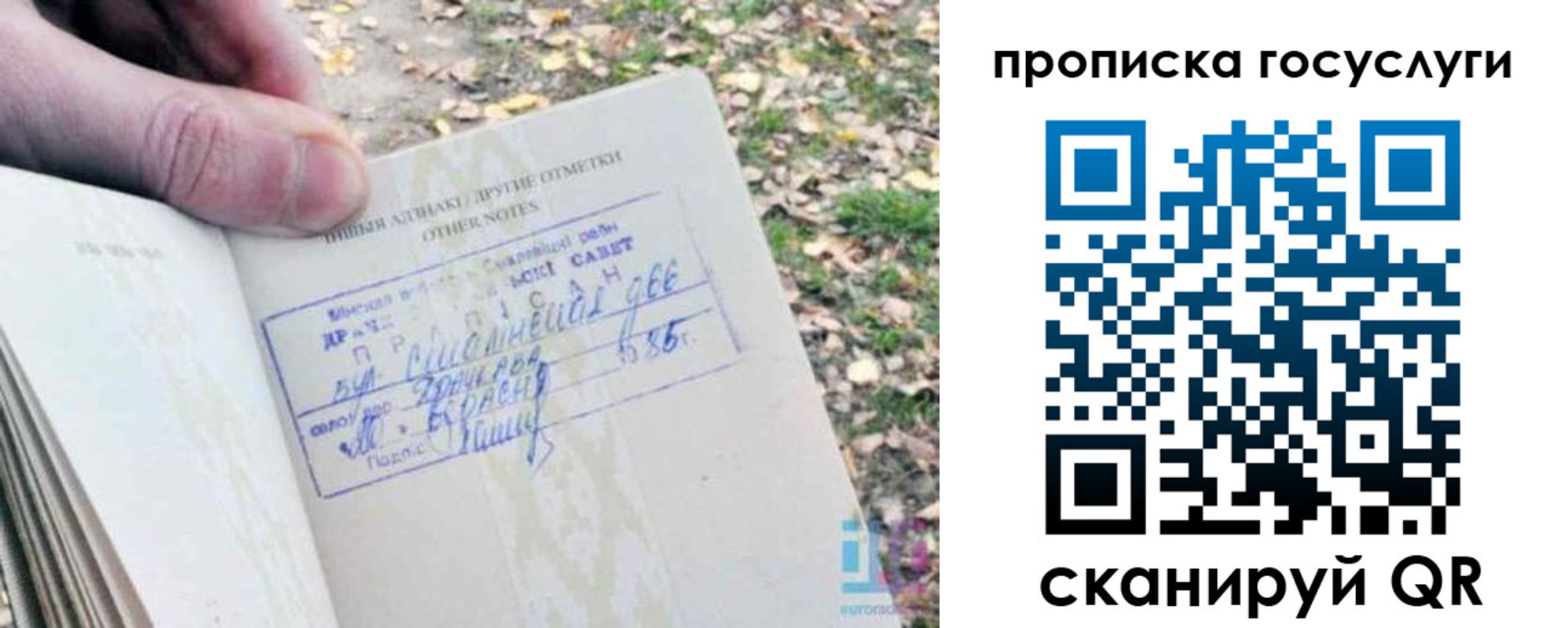 временная регистрация собственник в Тимашёвске